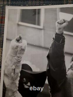 1972 John Lennon Yoko Ono Protest British Troops In Ireland Beatles Music Photo