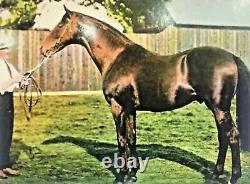 Emil Adam Ltd Ed Diamond Jubilee Thoroughbred Equestrian Horse Jockey Print