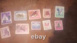 Huge International Stamp Collection