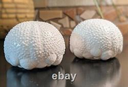 Tiffany & Co. Sea Urchin Bone China Salt And Pepper Shakers