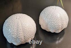 Tiffany & Co. Sea Urchin Bone China Salt And Pepper Shakers