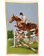 Vintage Show Jumper By Ulster Linen Equestrian Horse Tapestry Towel Ireland